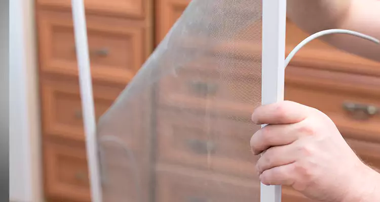 Privacy Mesh Screen Door Installation in Fort Walton Beach, FL